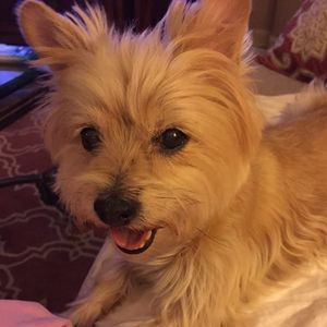 Meet your Posher, Jan