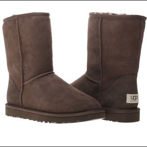 UGGS short chocolate brown