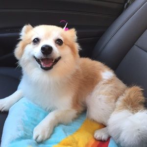 Meet your Posher, Serena