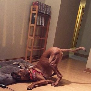 Meet your Posher, Karen