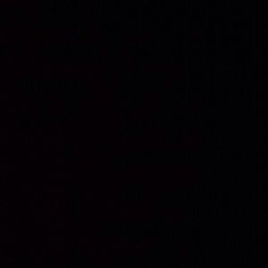 Meet your Posher, Harley