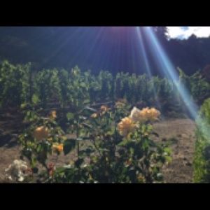 Meet your Posher, Kathleen