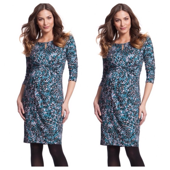 Seraphine maternity dress