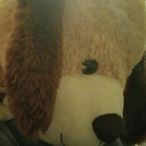 Meet your Posher, Gina