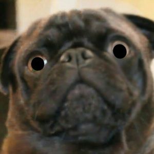 Meet your Posher, Lynn