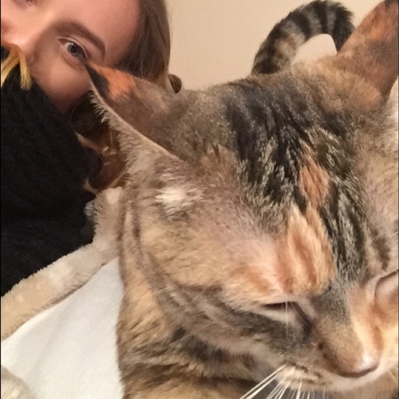 Hello! - Picture 2 of 4