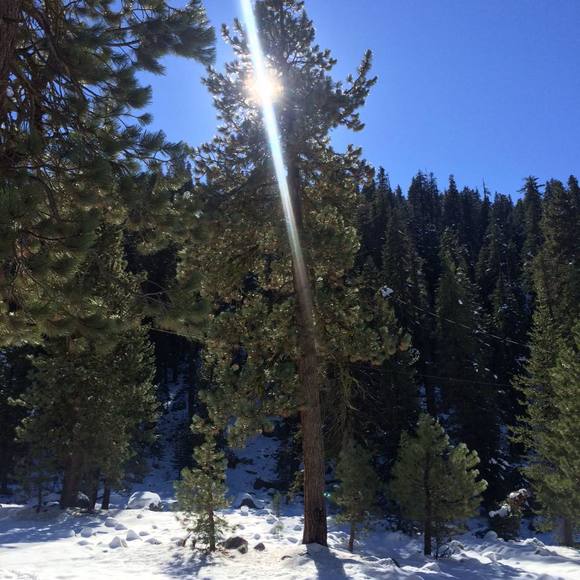 Meet your Posher, Kimberly - Picture 1 of 1