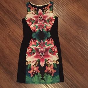 Orchid Paradise Dress