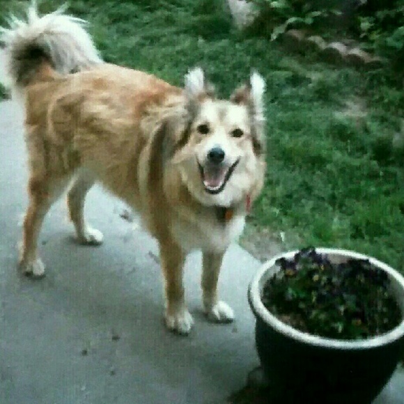 Meet your Posher, Katherine - Picture 2 of 4