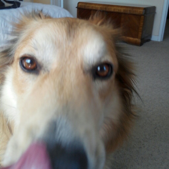 Meet your Posher, Katherine - Picture 3 of 4