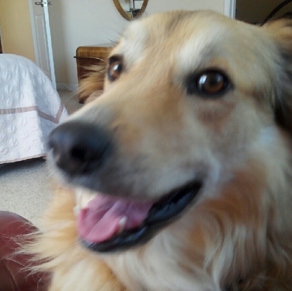 Meet your Posher, Katherine - Picture 4 of 4