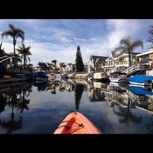 Meet your Posher, Shannon