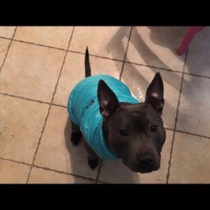 Meet your Posher, Kelsey