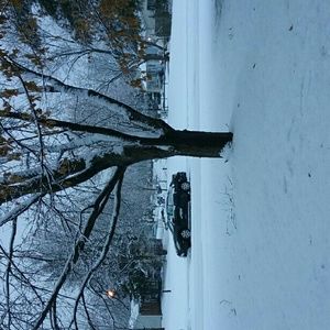 Meet your Posher, Sheila