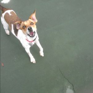 Meet your Posher, Zoe