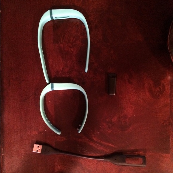 Fitbit Flex