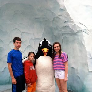 Meet your Posher, Eileen