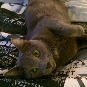 Meet your Posher, Cj