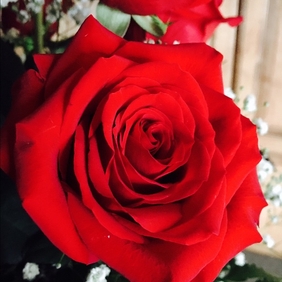 Meet your Posher, Akeesha - Picture 1 of 1