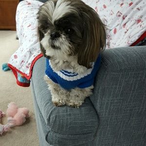 Meet your Posher, Sandy