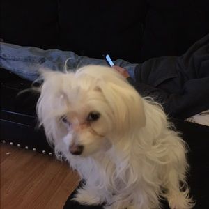 Meet your Posher, Eileen