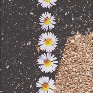 Meet your Posher, Joanna