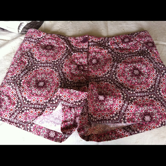 New York & company shorts