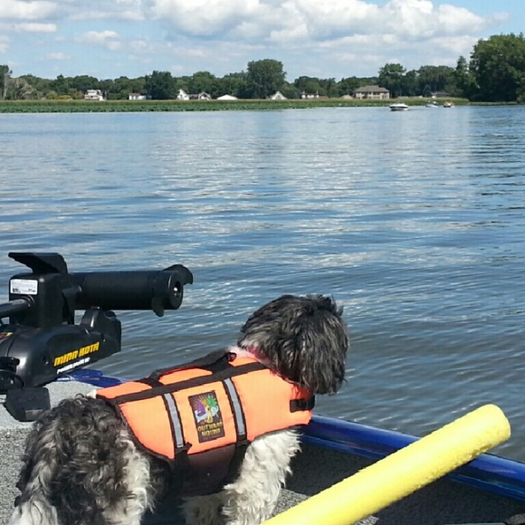 Classy & Modern Treasure's. - Picture 5 of 5