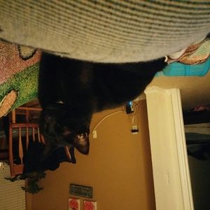 Meet your Posher, Haley