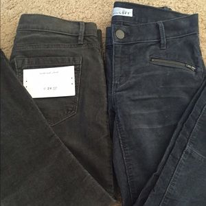 Loft Corduroy Moto Pants Petite00
