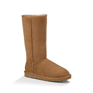 Tall chestnut uggs NWOT