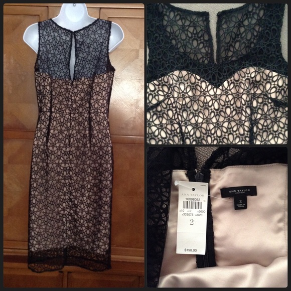 Ann Taylor lace dress - Picture 2 of 2