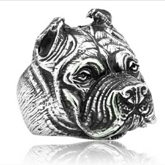 Jewelry - NWOT 316 Silver Titanium Dog Ring Size 9