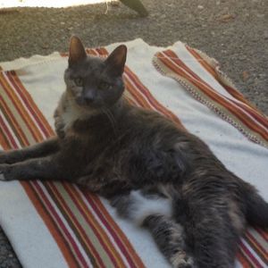 Meet your Posher, Danielle