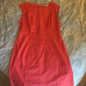 New with tags! Loft shift dress