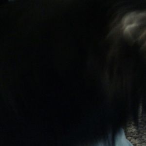 Meet your Posher, Georgia