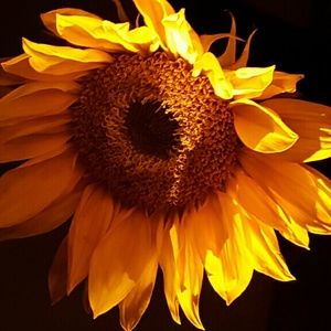 Meet your Posher, Melanie