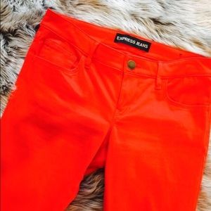 Express red legging pants