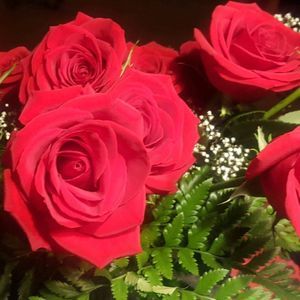 Meet your Posher, Neely