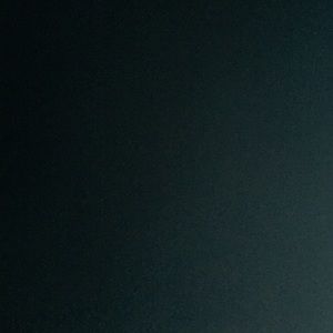 Meet your Posher, Bernard