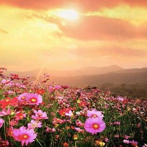 Meet your Posher, Simone