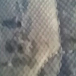 Meet your Posher, Jared