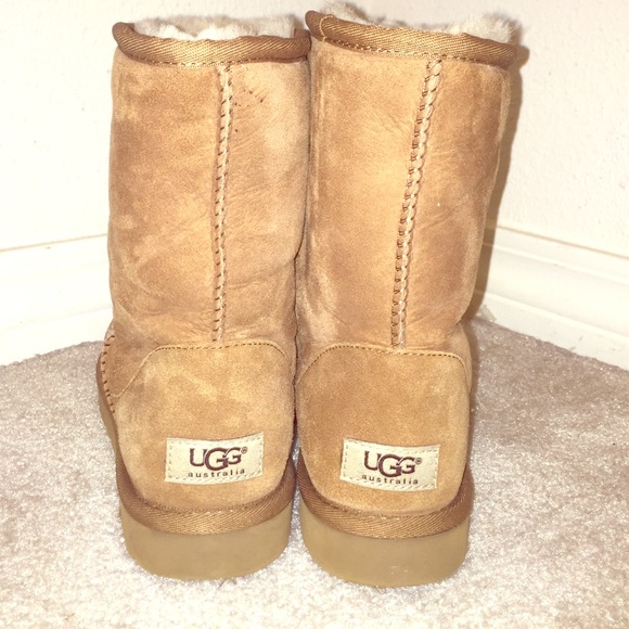 Brand new uggs!!!