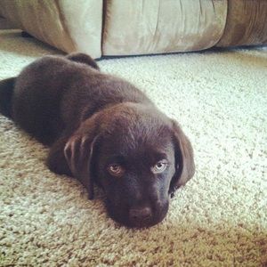 Meet your Posher, Faith