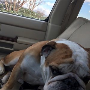 Meet your Posher, Katy