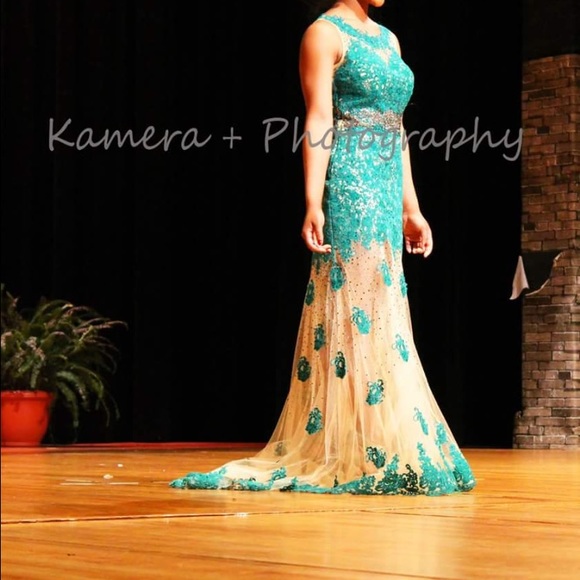 Prom/Pageant Dress - Picture 3 of 3