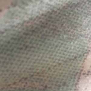 Meet your Posher, Priscilla