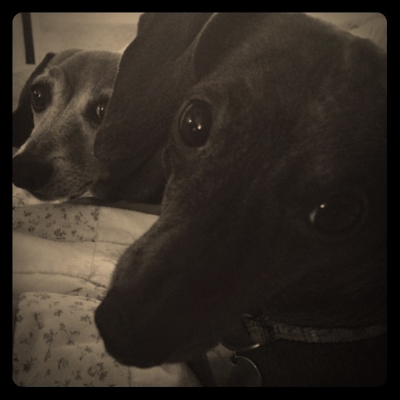 My babies