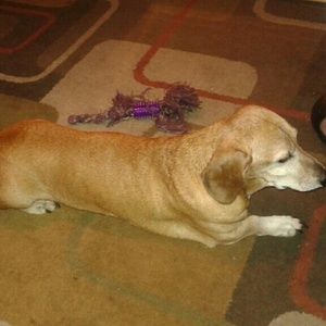 Meet your Posher, Lynn