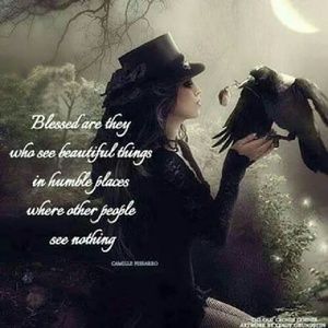 Meet your Posher, Tammy